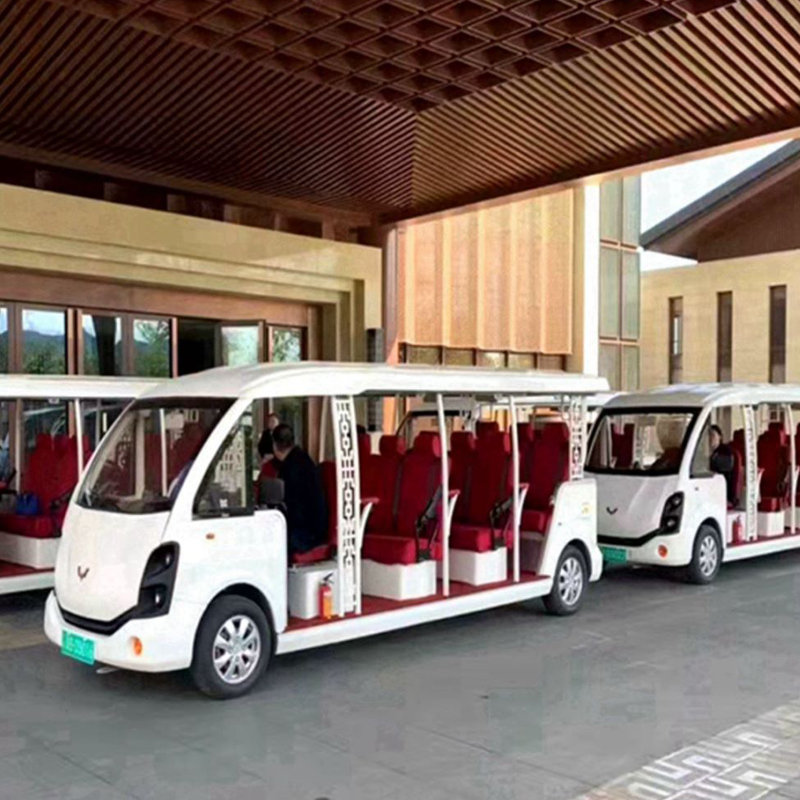 State guest car AC car model
