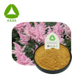 Astilbe chinensis Leaf Extract Powder 10:1