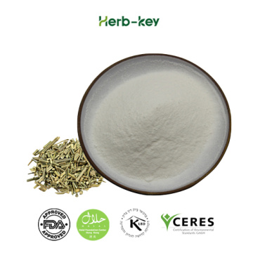 98% high content andrographolide