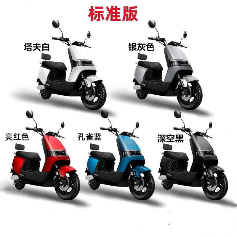 High Speed Electric Scooter for Adults Long Range Model