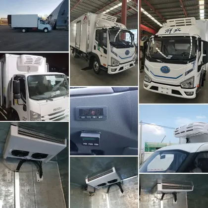 DC12V and 24V Thermo King Rooftop Refrigeration Units for Cargo Vans