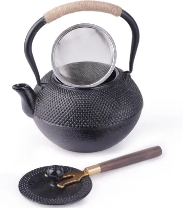 Stovetop Safe Japanese Tetsubin Cast Iron Teapot with Stainless Steel Infuser