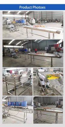 Fruit and Vegetable Washing Grading Machine