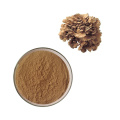 Direct sales Natural maitake mushroom extract