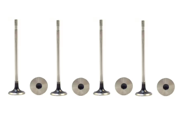 GM OEM L5P Intake Valve
