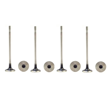 55557862 Intake Valve for Engine