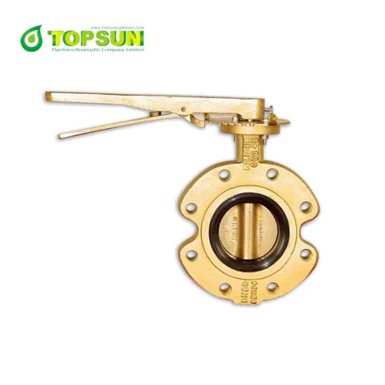 Short neck butterfly valve with pin