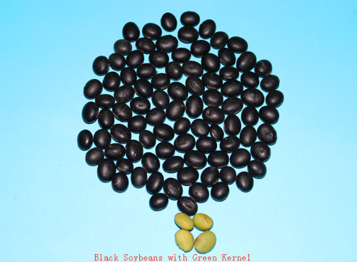 Dried black beans with green kernel