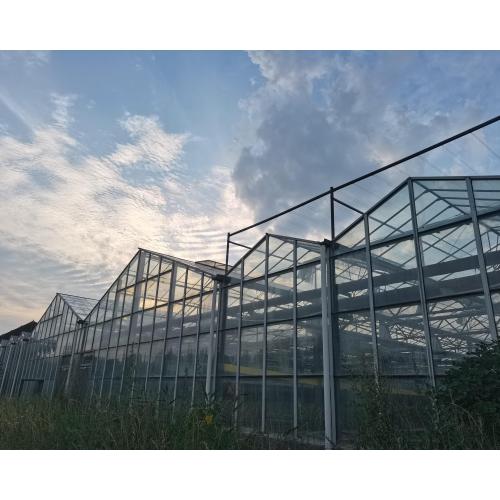 Ecological Restaurant Leisure Glass Greenhouse