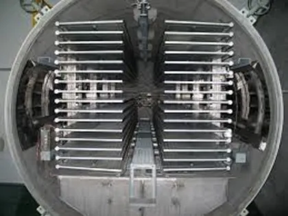 Perilla low temperature microwave vacuum dryer