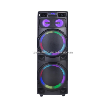 Temeisheng 12 Inch Wireless Karaoke Speaker with Microphone for Parties