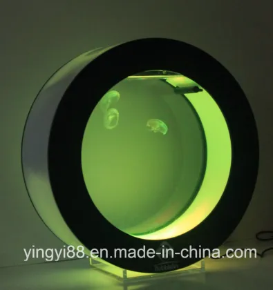 Custom Acrylic Fish Tank with LED Lighting