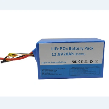 51.2V 20Ah Golf Cart LiFePo4 Battery Suppliers Manufacturers in China