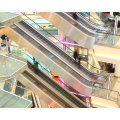 Energy Saving Smooth and Reliable Escalator