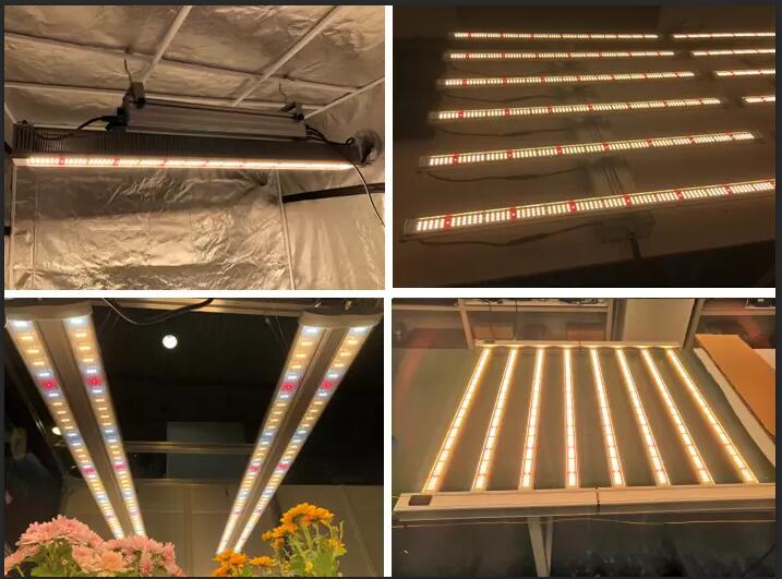 grow light for vegetables