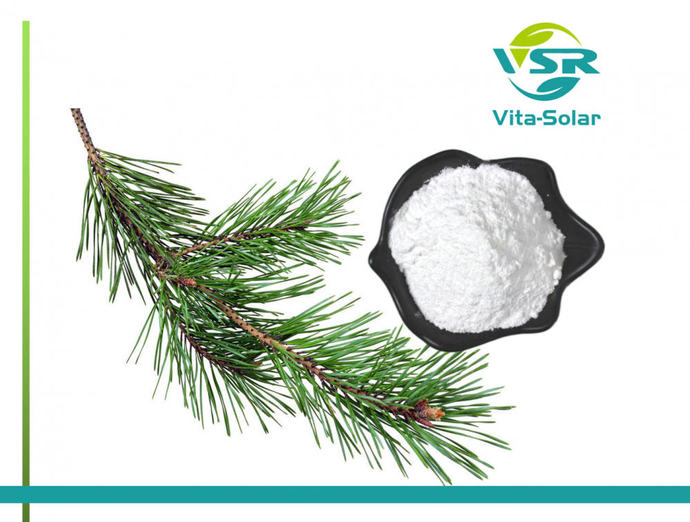 Pine Tree Sterol Powder