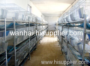 Good Layer Chicken Cages 