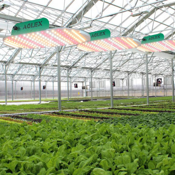 屋内水生植物の1000ワットの成長光