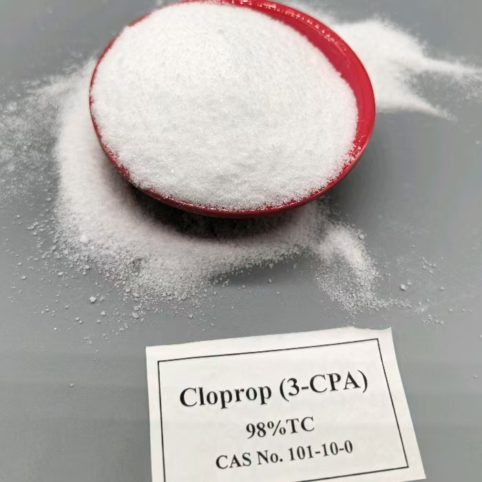 3-CPA Plant growth regulator fruit -set improve flowering (33)