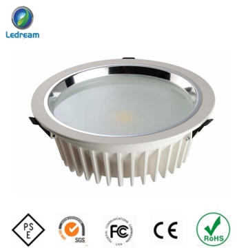 20W High Quality COB LED Down Lamp