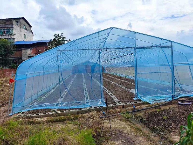 Qingcheng Agriculture's Single-Unit Arched Greenhouse Project in Hechuan Successfully Launched, Boosting the Quality and Efficiency of Suburban Facility Agriculture
