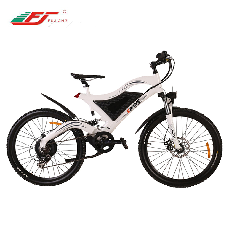 E Bike 2