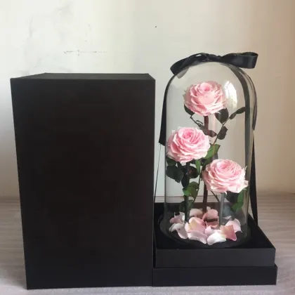Little Prince Rose in Glass Dome with Black Gift Boxes for Valentine's Day