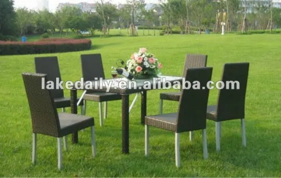 New style outdoor dinning set