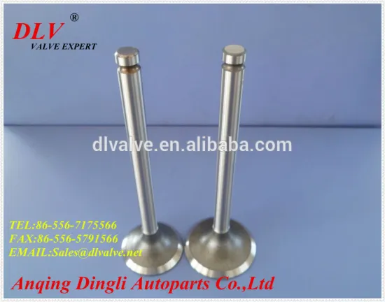 OE NO.90220121 90323757 engine valve for ESPERO2.0