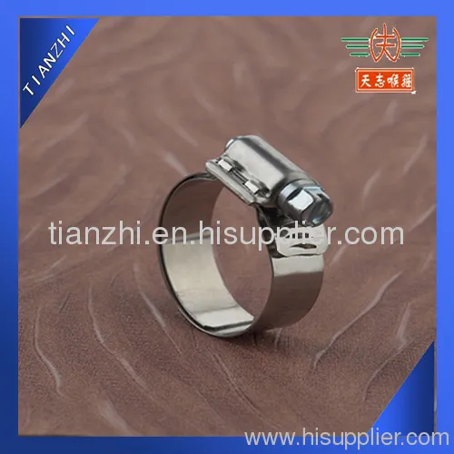 Heavy Duty Worm Drive Pipe Clamp 