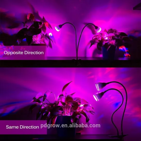 360 Degree Flexible Dual Head Desk Led Grow Light for Indoor Plants
/