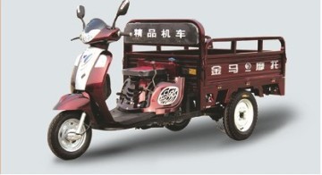 Tricycle-Light110CC-150CC