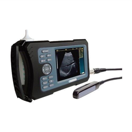 Handheld veterinary ultrasound scanner machine for Swine