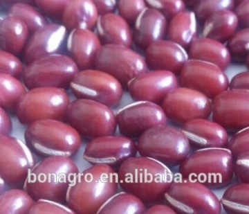 adzuki bean China origin Size:4-9mm Machine clean quality free sample
