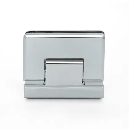 shower door came off hinge leak