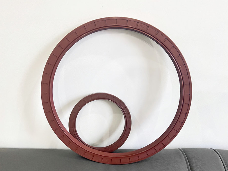 Fluorogar skeleton oil seal