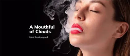 Disposable electronic cigarette geek bar vape