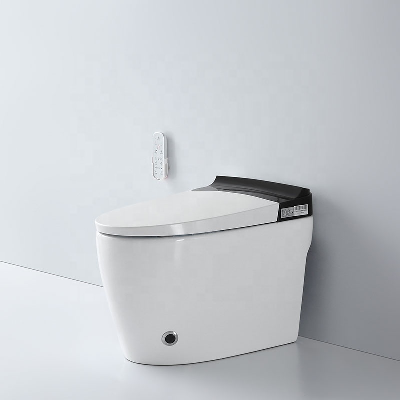 Smart Toilet One