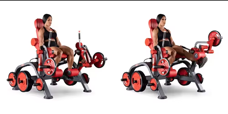 seated leg extension free weights unit hamstring curl