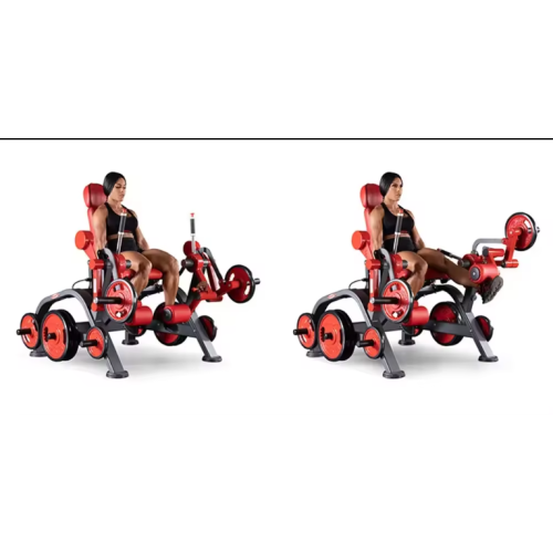 seated leg extension free weights unit hamstring curl