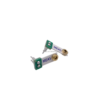 Minisese100: kleiner horizontaler piezoelektrischer Filmdrucksensor (PVDF) - Piezo -Vibrationssensor
