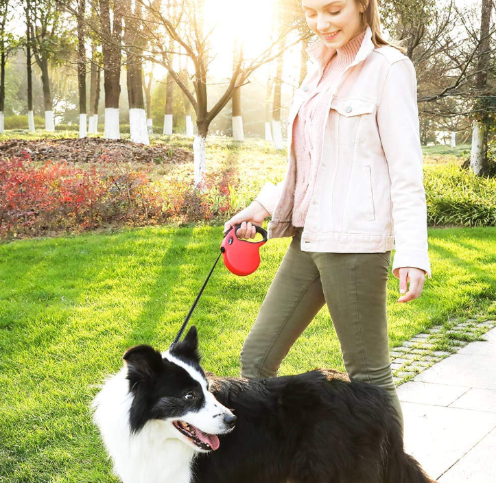 Heavy Duty Retractable Leash