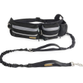 Hands Free Dog pet Leash