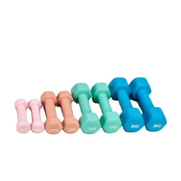 Low Price Supply Dumbbell Equipment Iron Rubber Gym Fitness Equipment Dumbbells Rubber