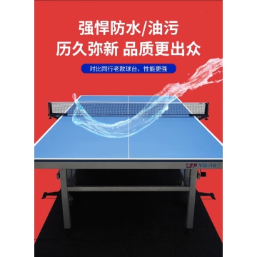 Amistad 729 Mesa de ping-pong YG-18