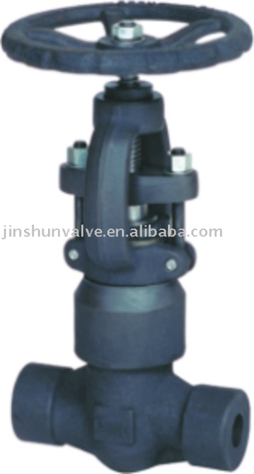 Manual Globe Valve(NPT globe valve,API globe valve)