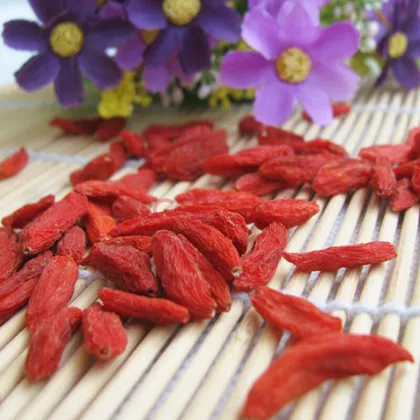 Frozen Dried  Ningxia or Qinghai Goji Berry