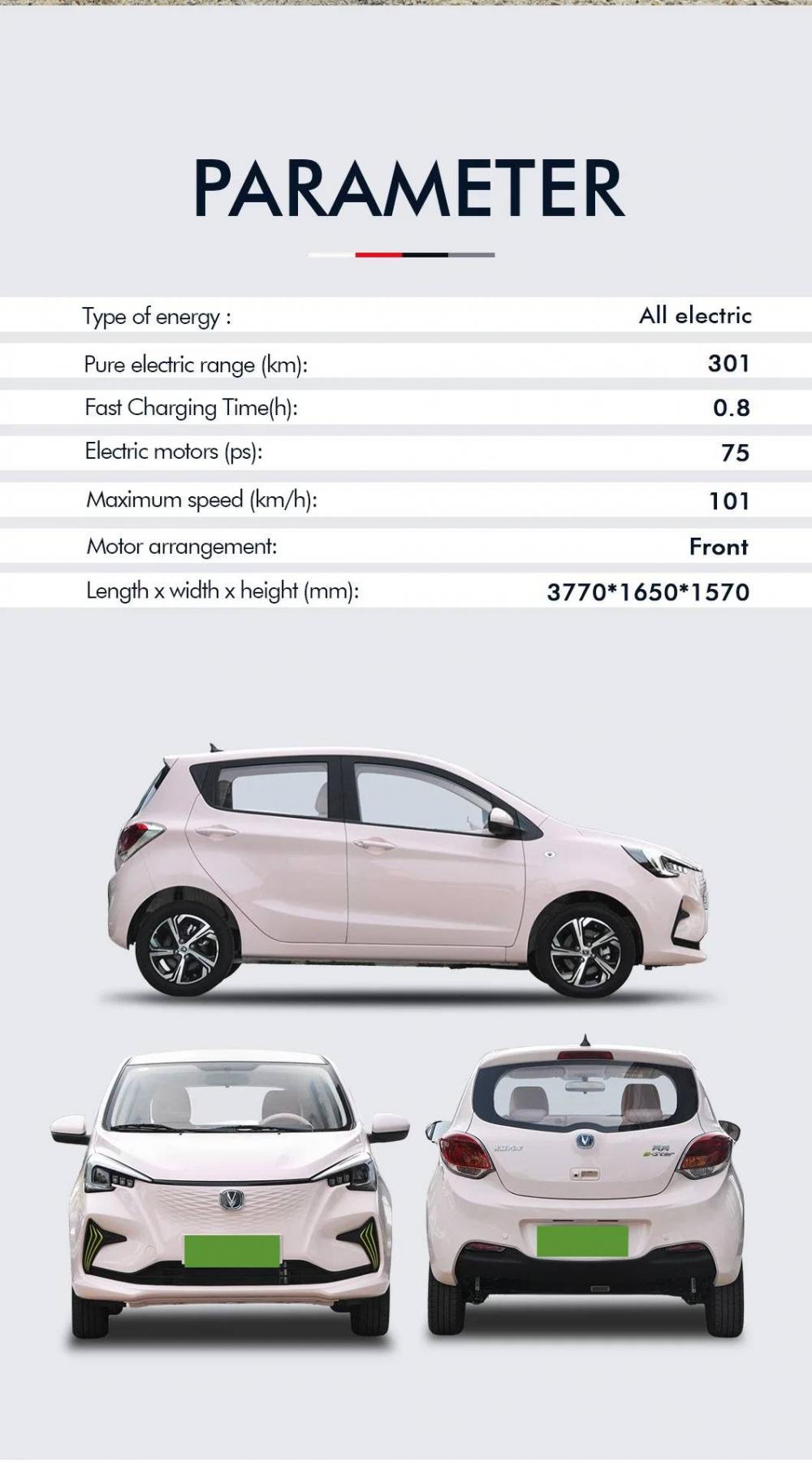Small Hatchback Electric Cars 6 Jpg