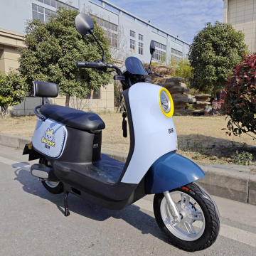 Top Electric Mobility Options: 500W-1000W Bicycles, Scooters, and Mopeds