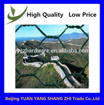 Galvanized hexagonal netting/chicken mesh/chicken wire netting